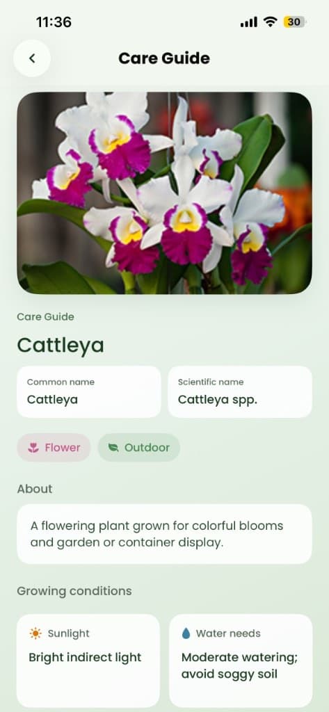PlantDoctor care guide with sunlight, water needs, and about section