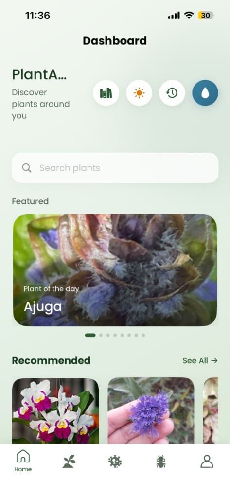 PlantDoctor dashboard with plant of the day and recommendations on iPhone