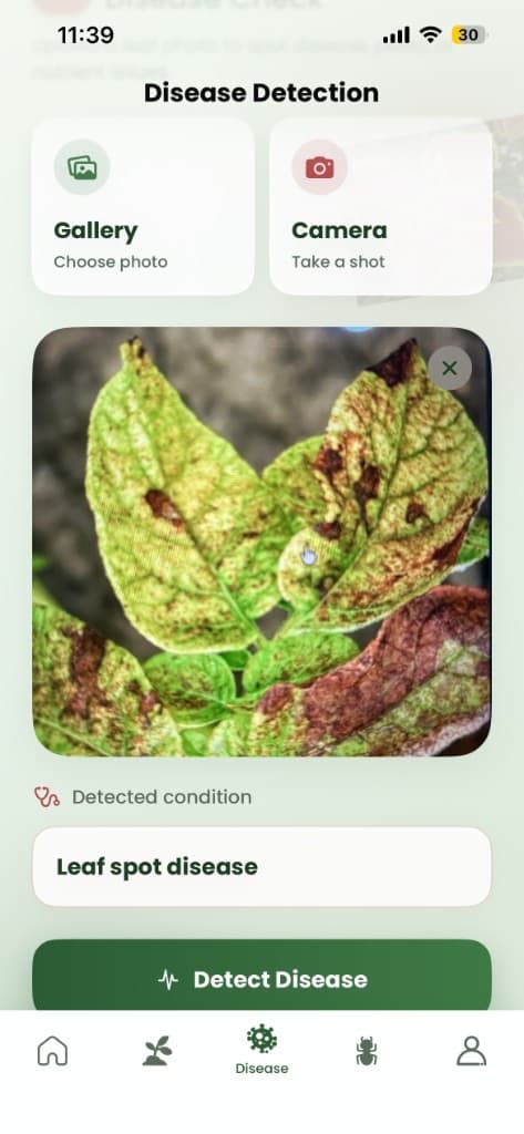 Disease detection screen identifying leaf spot from a leaf photo