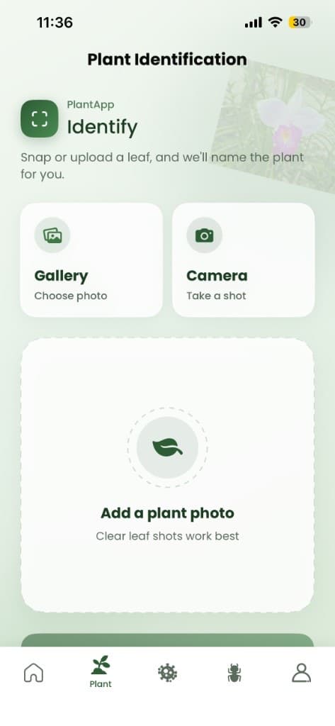 PlantDoctor identification screen with gallery and camera upload on iPhone