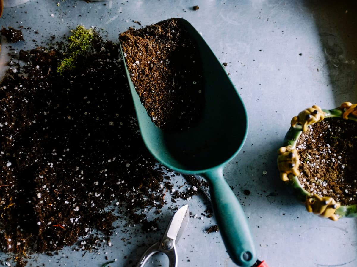 Plant Identifier — AI Powered Plant Detection App